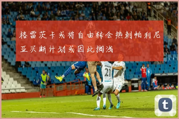 格雷茨卡或将自由转会热刺帕利尼亚买断计划或因此搁浅